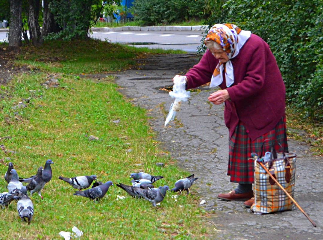 «Бабушка и голуби». Уличные зарисовки-2 - Aleks Nikon.ua