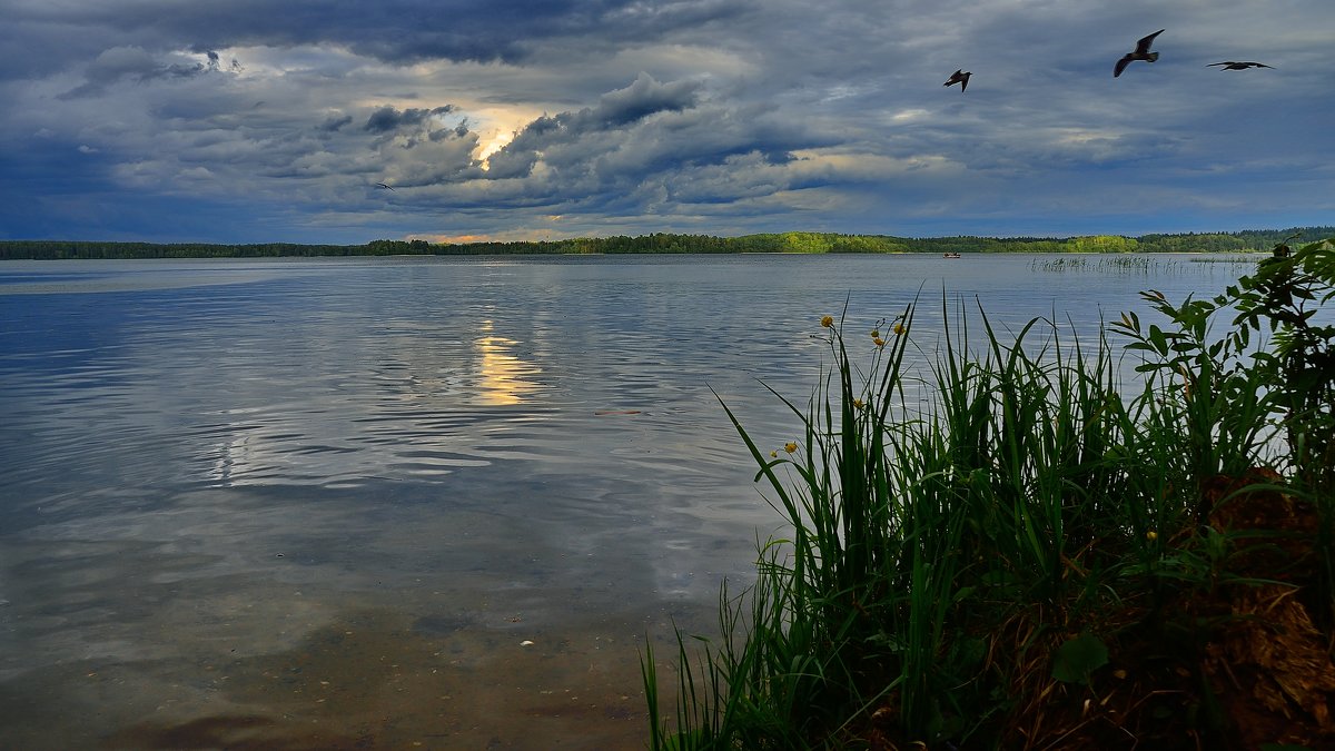 Озеро Валдай или мечта рыболова. - kolin marsh