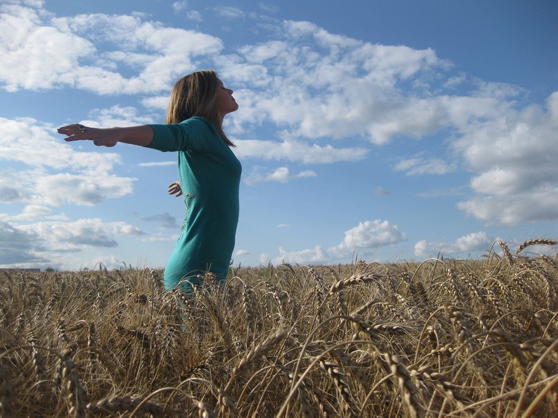 На фоне неба и пшеницы - Маринка Аркатова