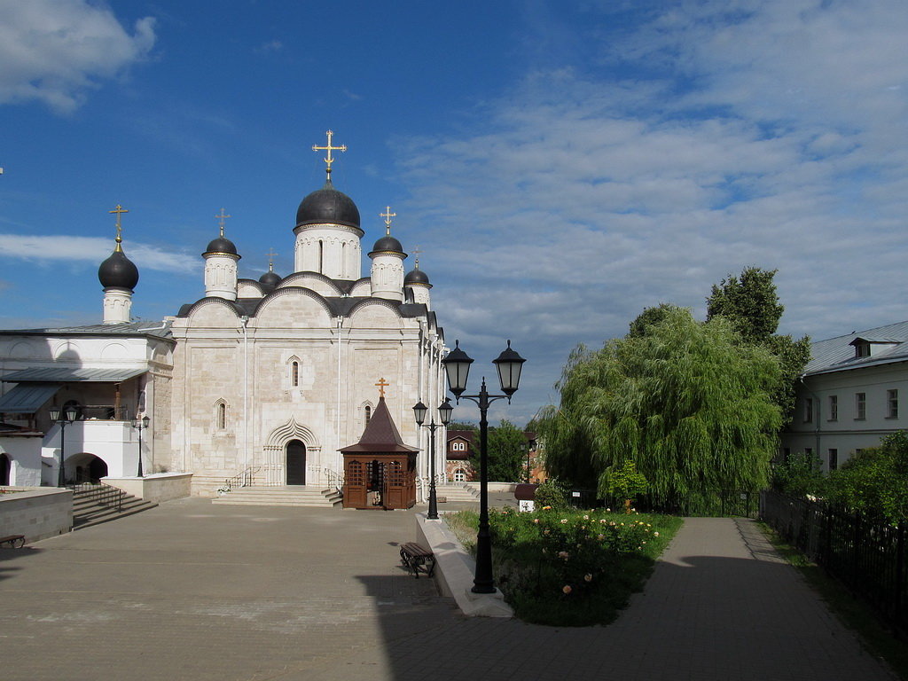 Введенский собор и храм святителя Алексия в Серпухове - Николай Дони