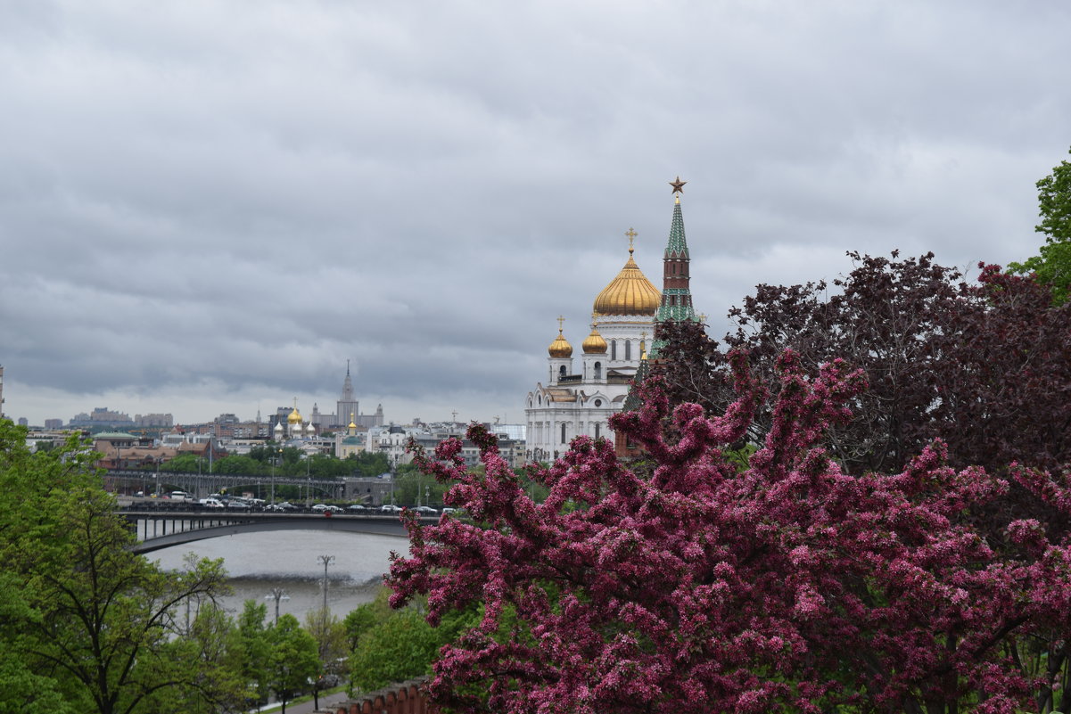 Кремлёвские пейзажи мая - Андрей 