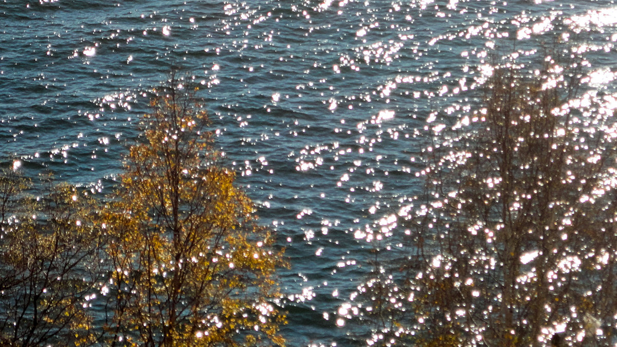 Природа,осень, Байкал,вода,блеск, деревья - Светлана Киклевич