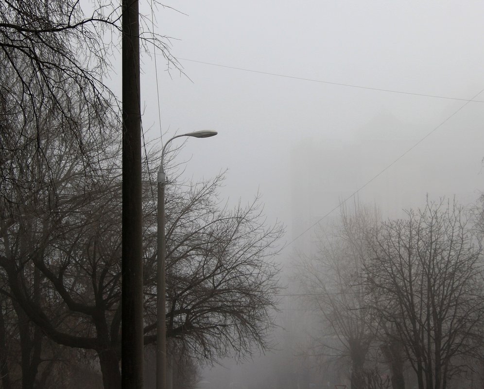 Туманный  пейзаж  города.... - Валерия  Полещикова 