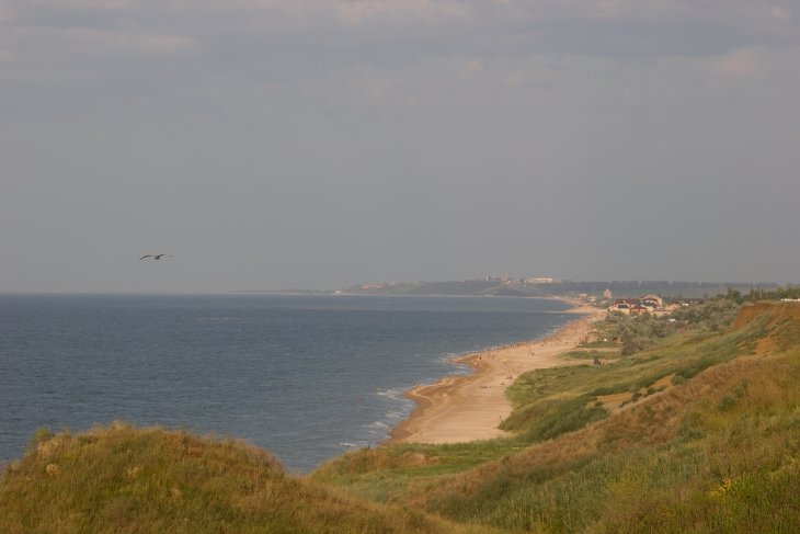 пляж - Дина Горбачева