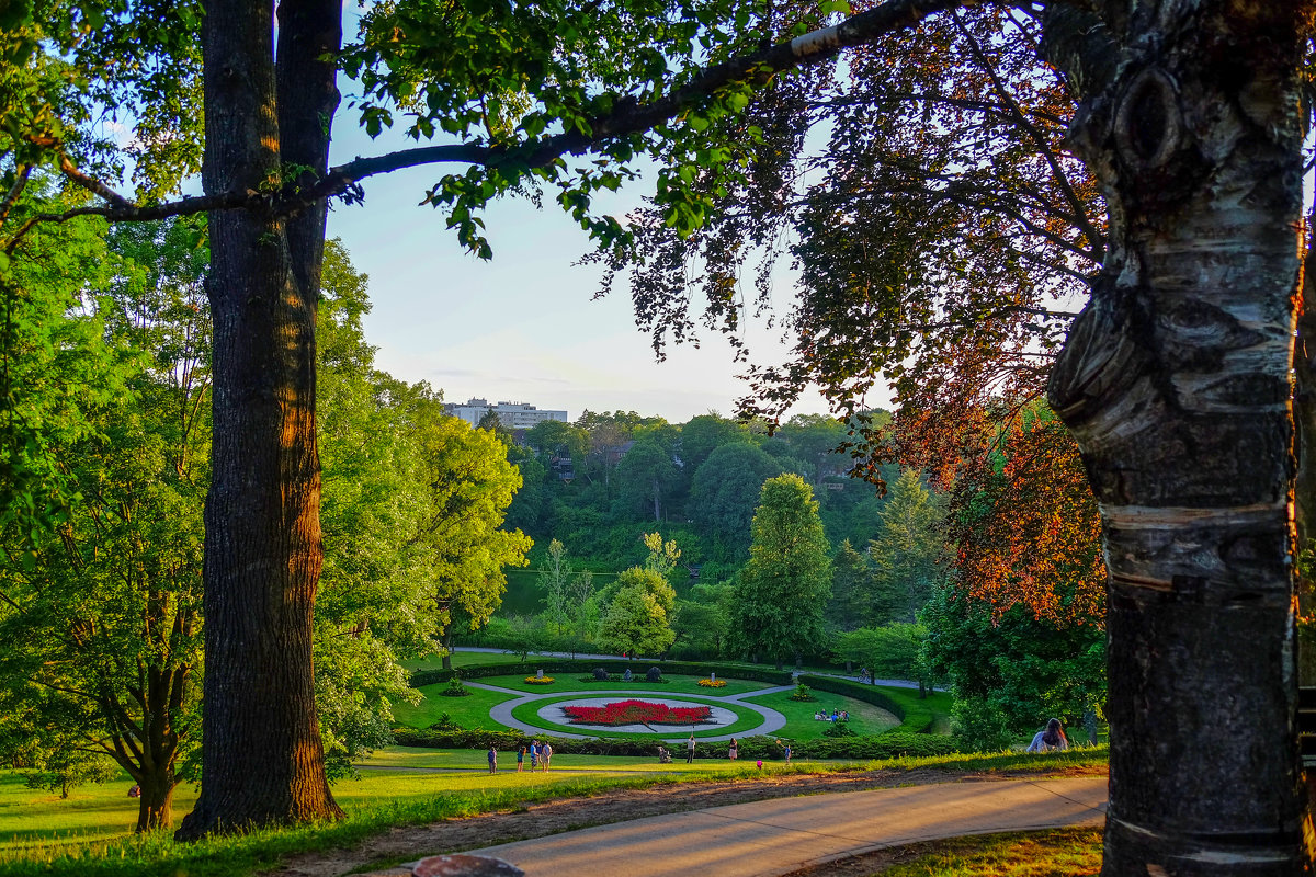 В парке - Alexander Hersonski