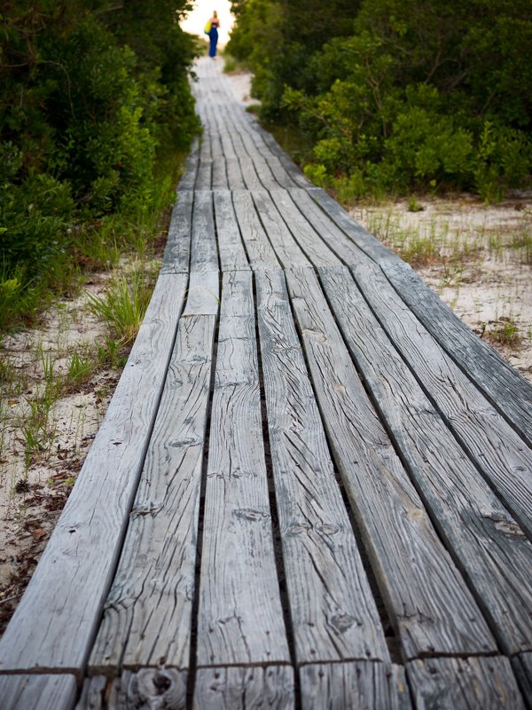 В дюнах Long Beach Island, NJ - Vadim Raskin