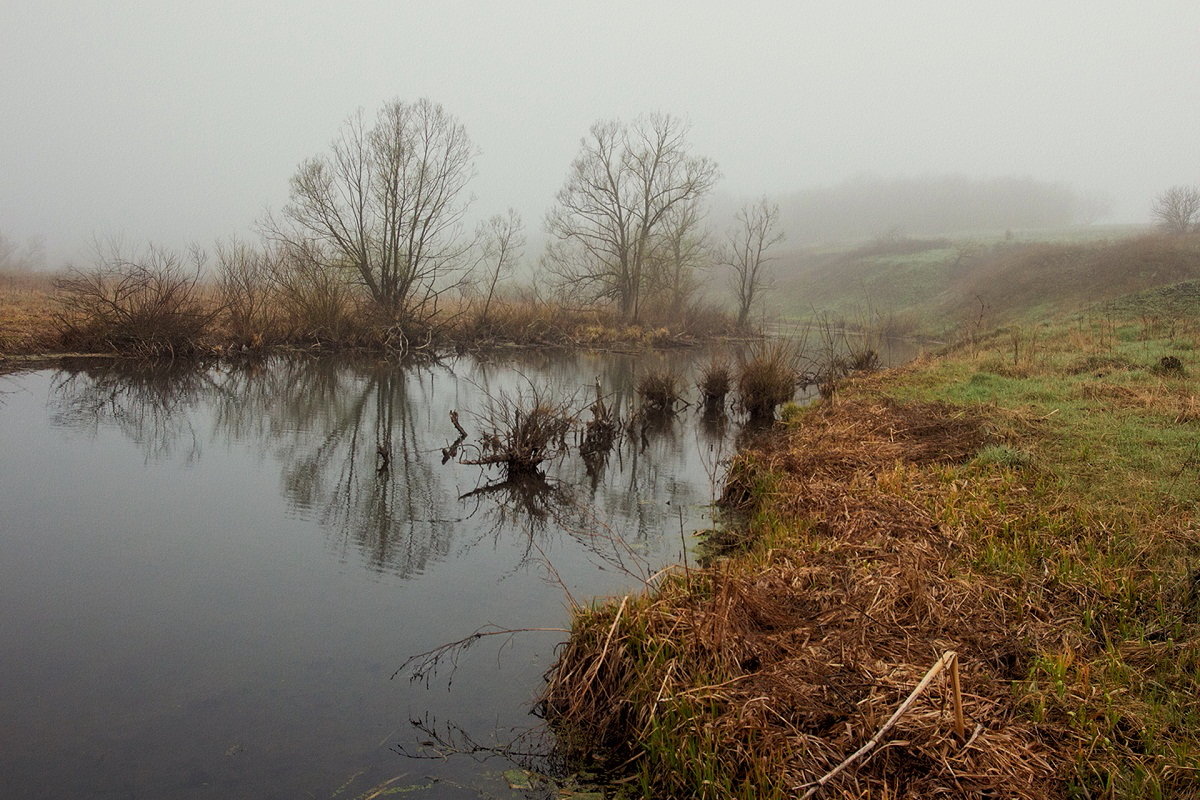 Туман на речке - Николай Алехин