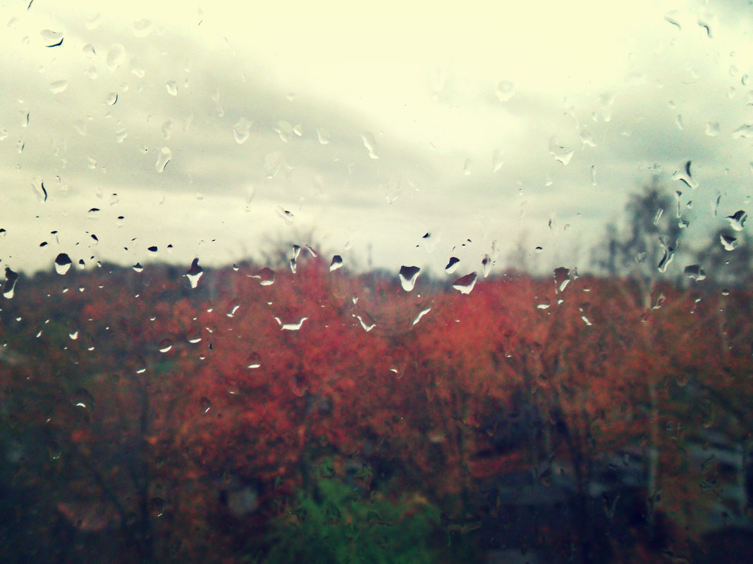 дождь - Batty_Devis 