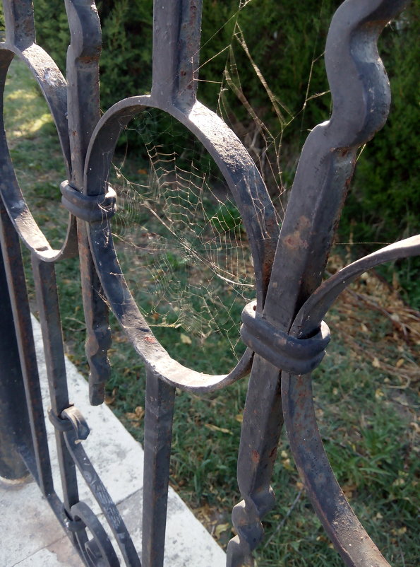 ограда в ограде - Юлия Гичкина