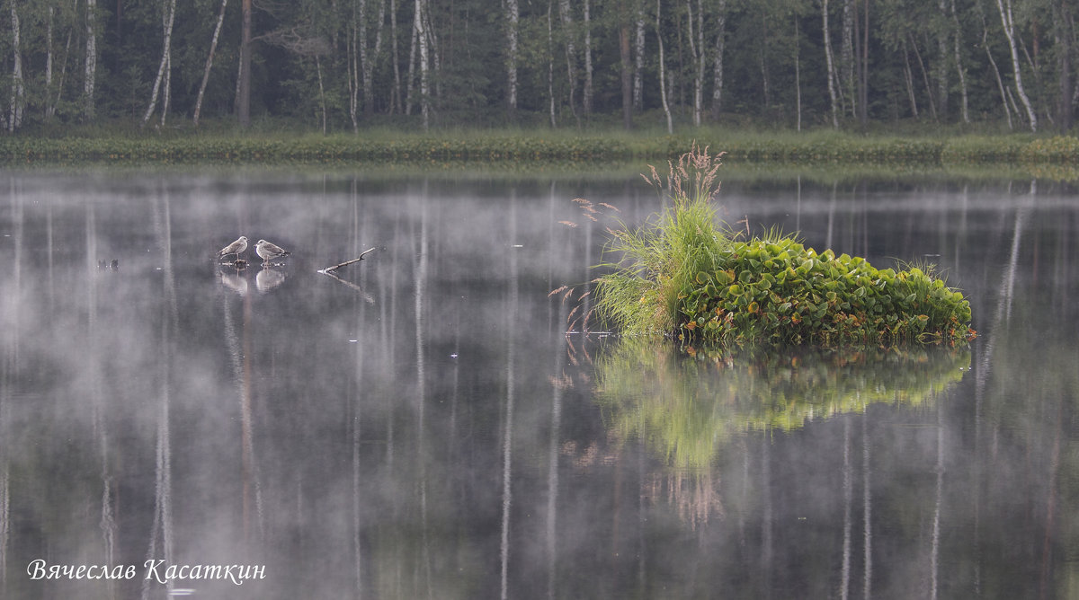 Туман на озере. Фото 5. - Вячеслав Касаткин