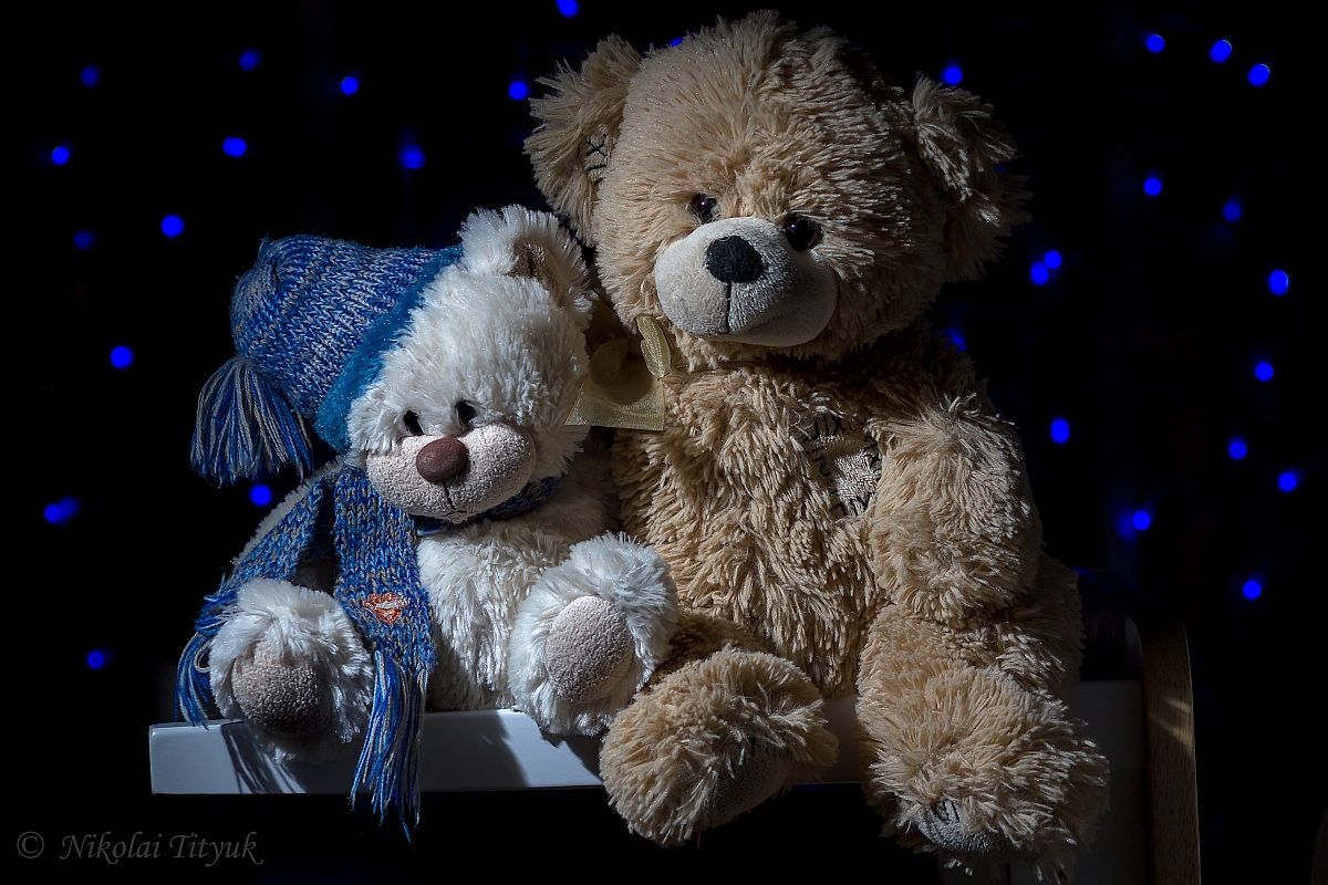 Bears :: Николай Т - Социальная сеть ФотоКто.