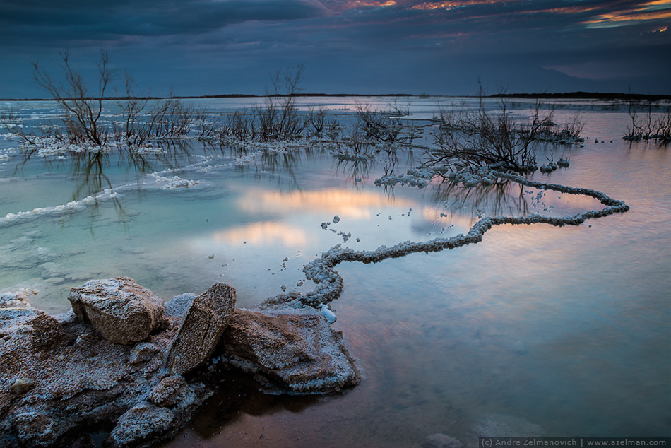 Dead sea ... - Андрей Зельманович