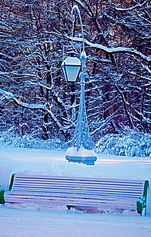 ...скамейка, фонарь...и...немного снега - Александр    Swan Лебедев