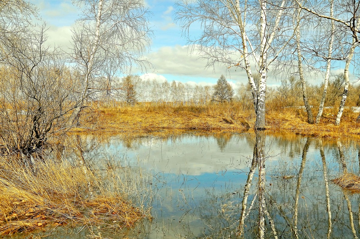 Весеннее отражение - Владимир Зыбин