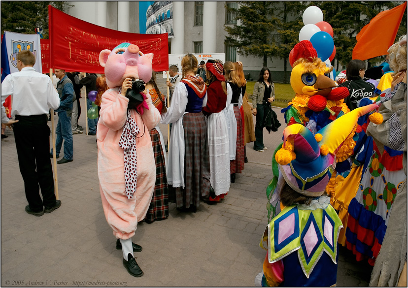 Фотографирующий Поросёнок - Андрей Пашис