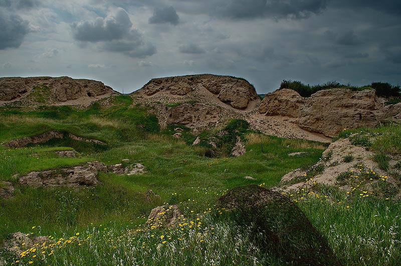 Landscape  (Israel) - Георгий Столяров