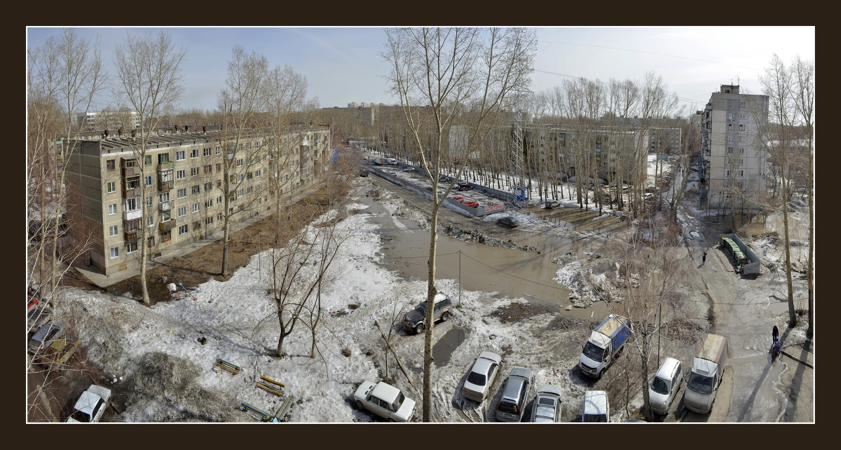 Родная лужа - Павел Самарович