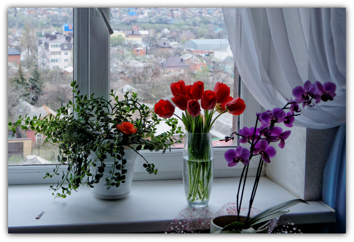 Моё окно - Александр Гапоненко