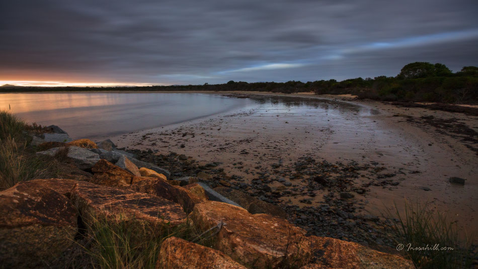 Ringarooma Bay - Wattletree -