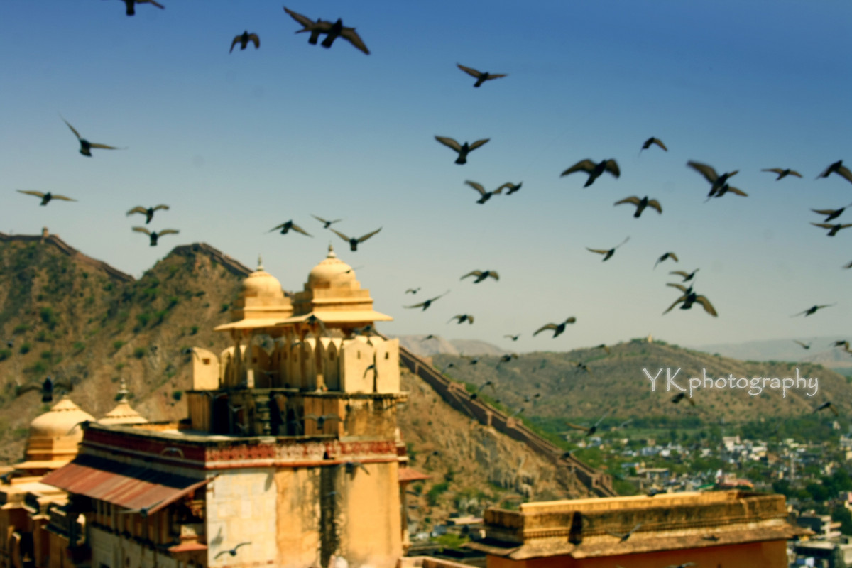 Амбер форт, Джайпур - йогеш кумар
