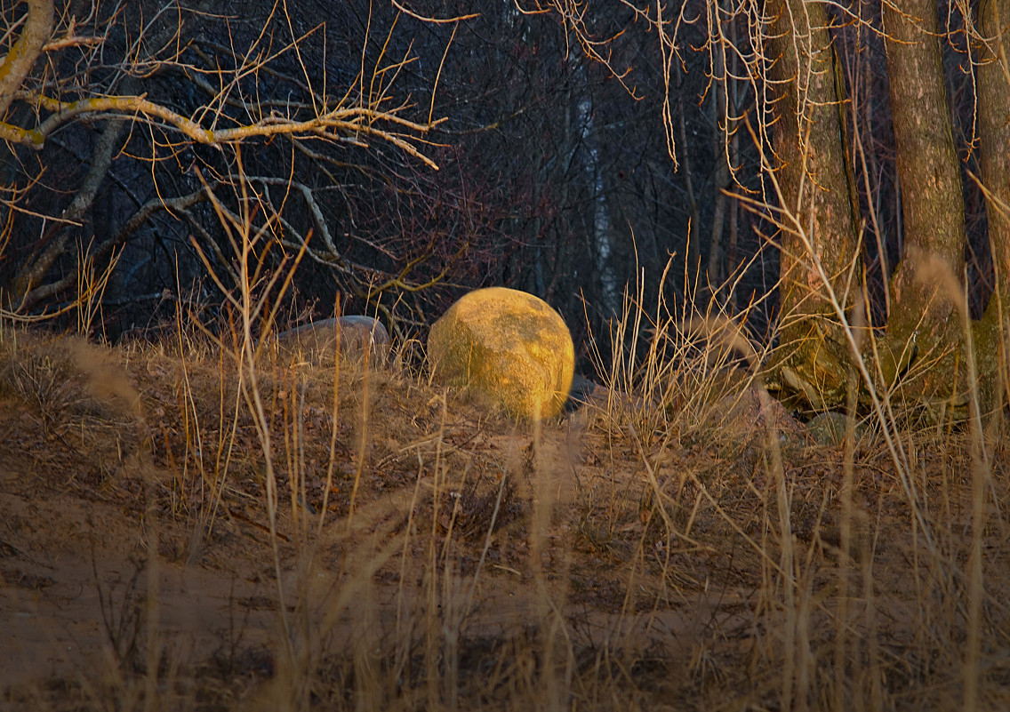лунный камень - Ирэна Мазакина