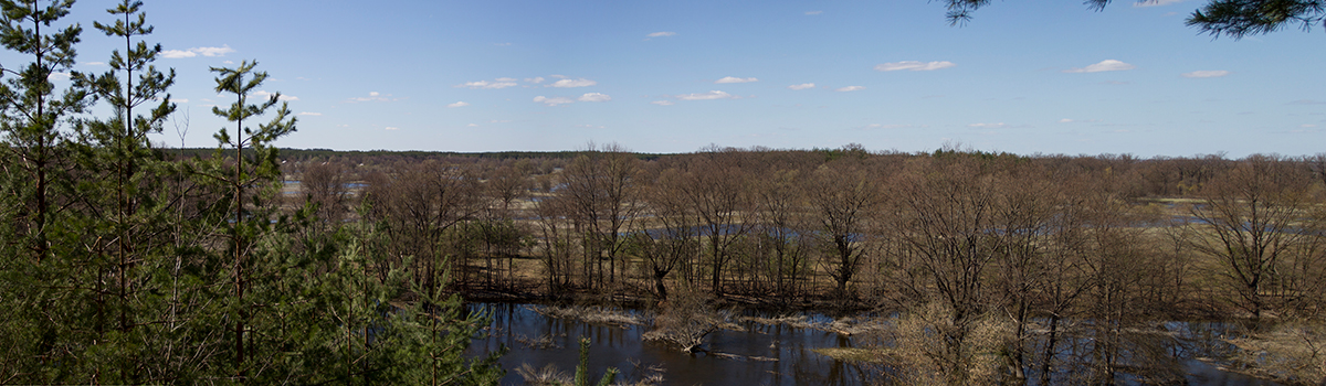 Река Тетерев разлилась по весне - Alikosinka Solo