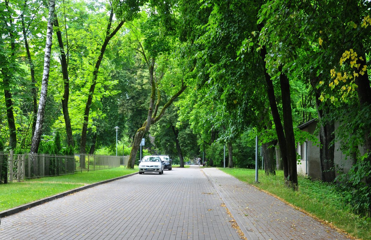 В парке - Евгений Дубинский