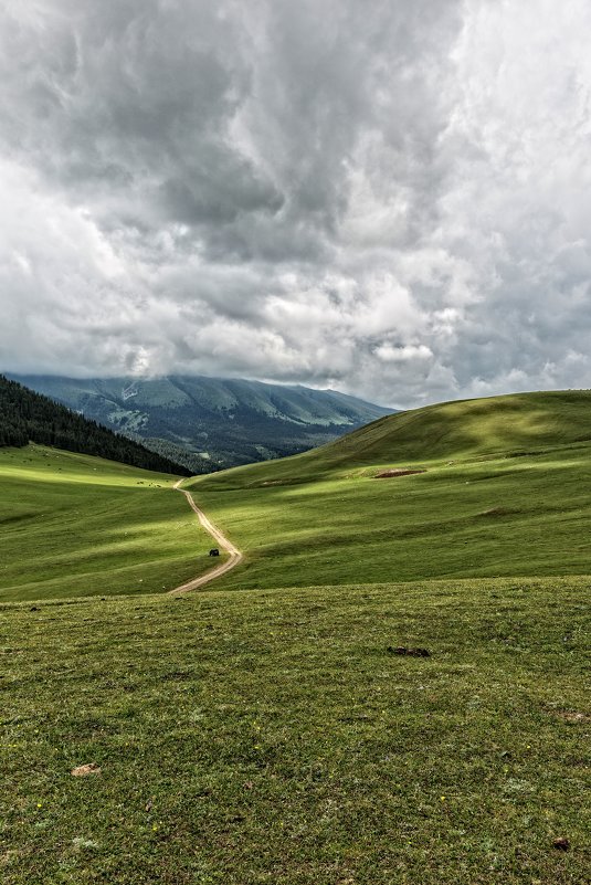 road to the clouds - Дмитрий Карышев