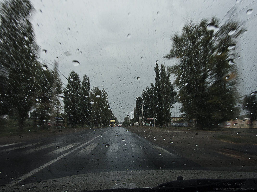 Дождь в дорогу - добрая примета - Виталий Павлов