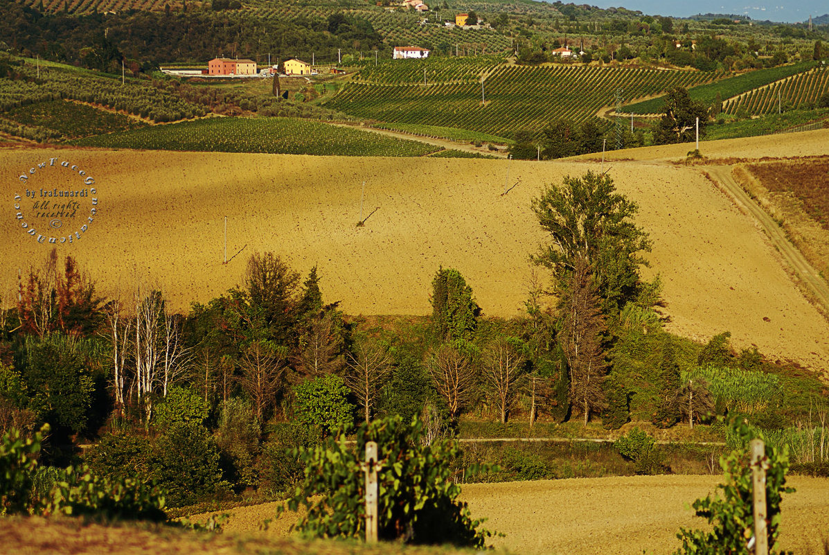 dianella, 19-08-2015 by iramashura FI, Toscana; Italia; Vinci - ira mashura