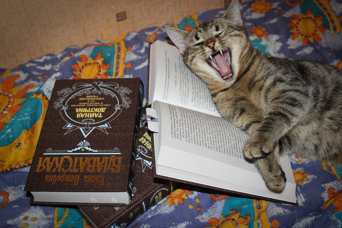 кошка, которая читала книжку - Iulia Efremova
