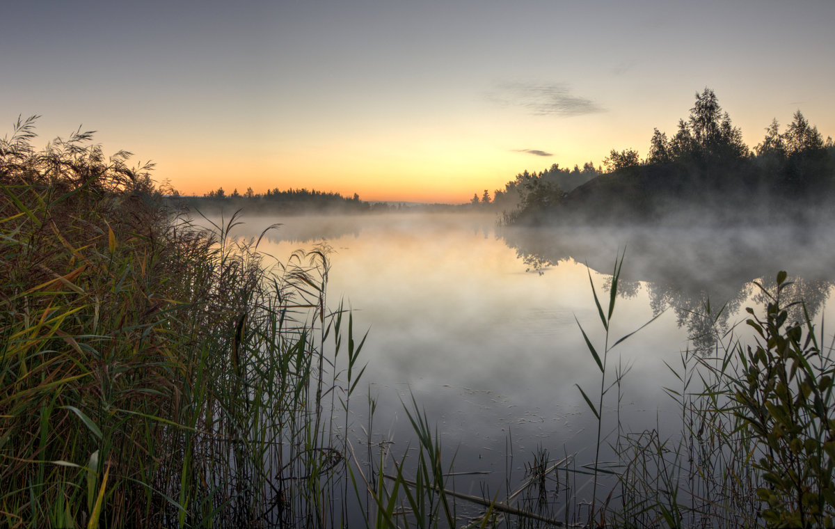 Тихое утро на озере - Илья Костин