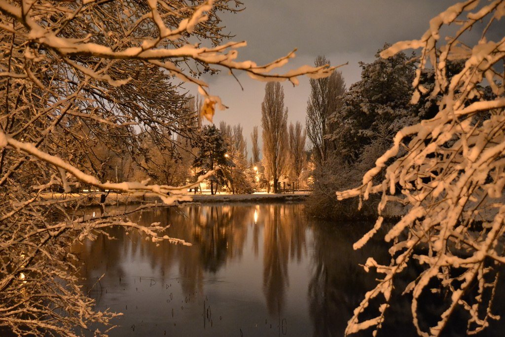 Зимний парк - Alexandra Shusha