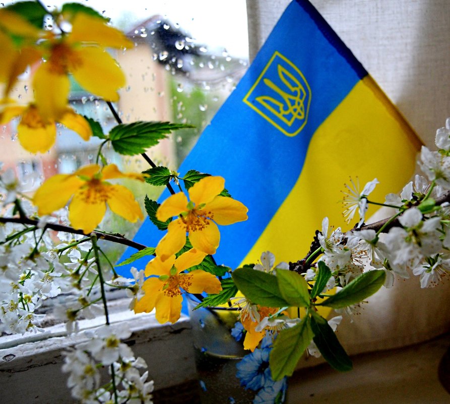 «С Днём Независимости Украины!» Вітаю нас усіх з 24-ю річницею Незалежності України! - Aleks Nikon.ua