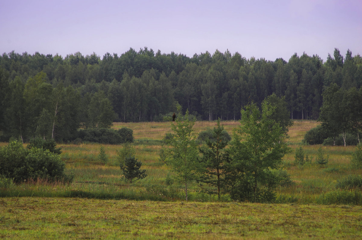 Кириши - Рома Григорьев