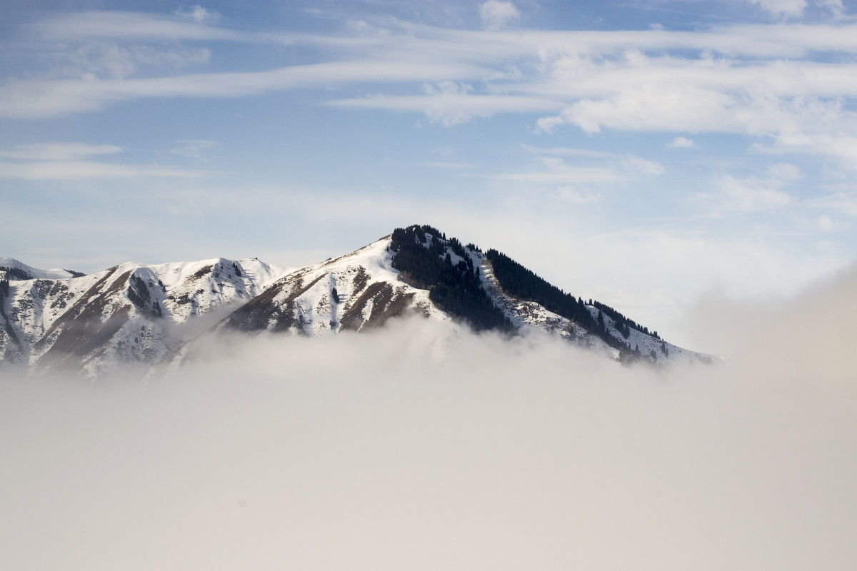 Горы в тумане - Alexey alexeyseafarer@gmail.com