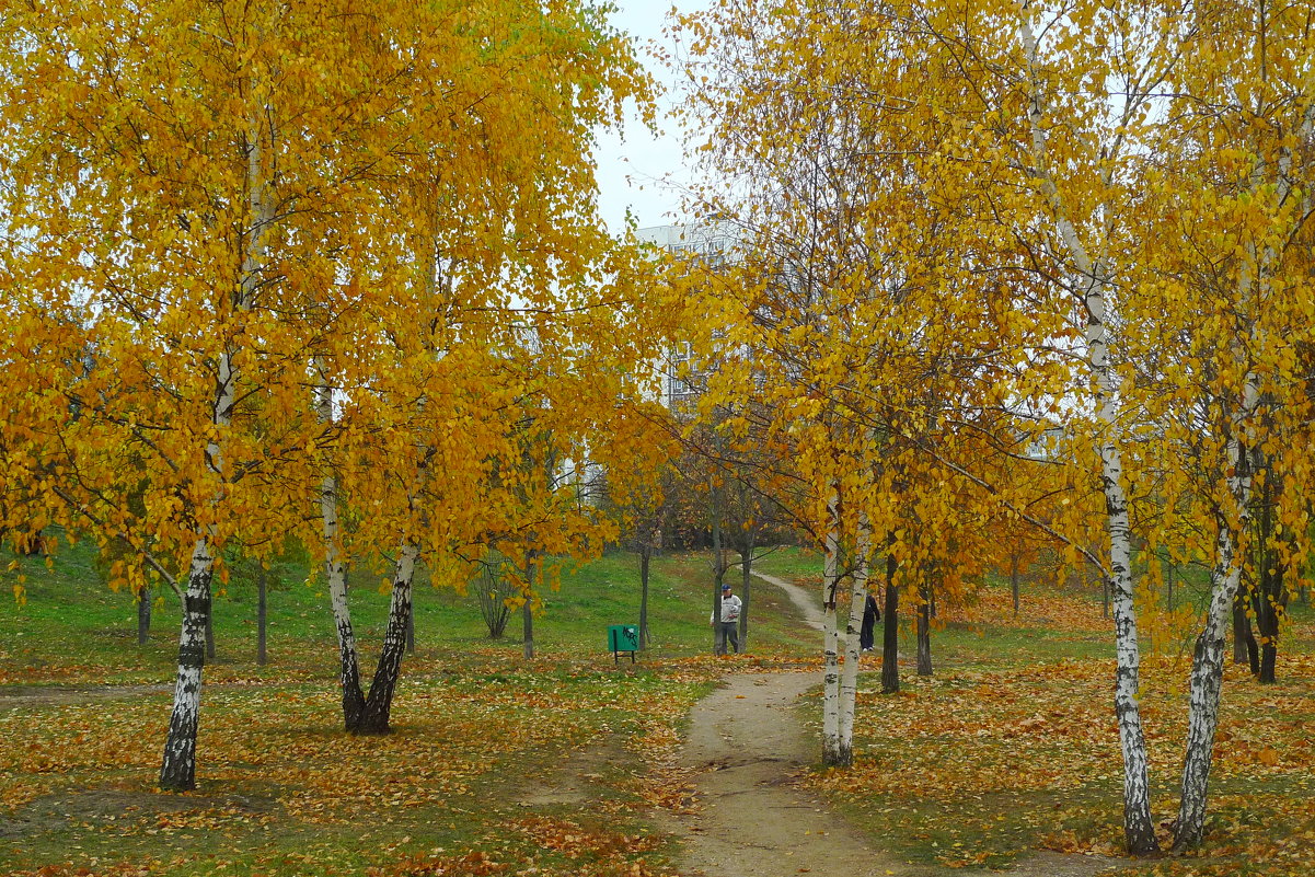 Осенняя дорожка. - Александр Атаулин