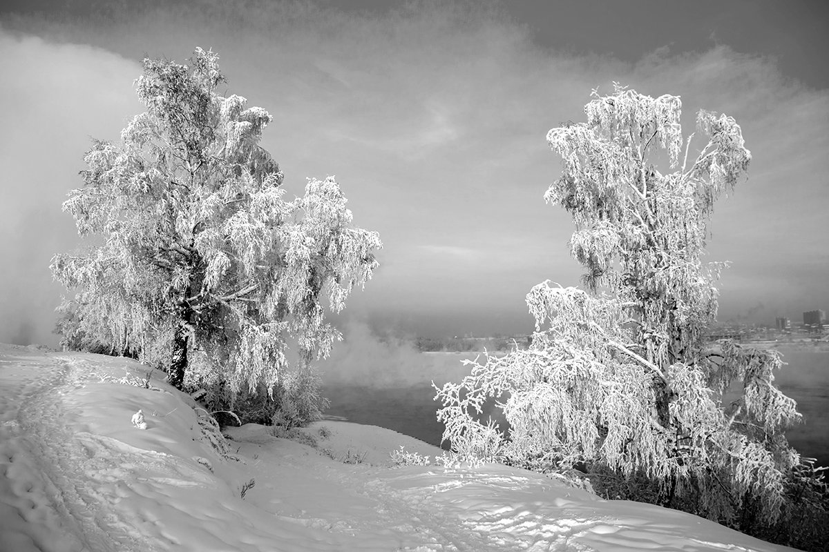 *** - Алексей Белик