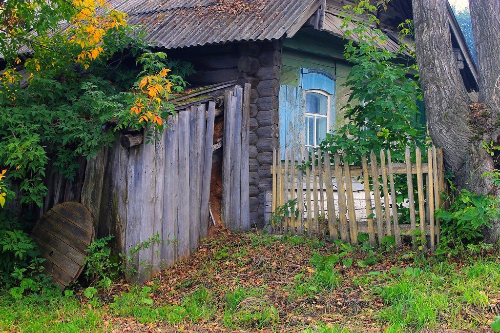 Осень в деревне... - Галина Стрельченя