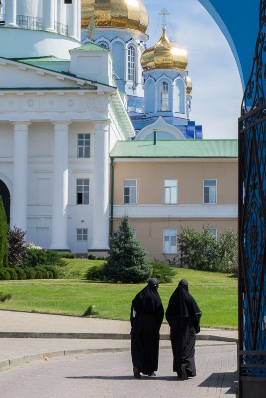 Задонский Рождество-Богородицкий монастырь - Анна Слободенюк