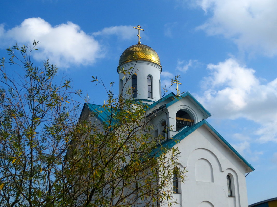 церковь Серафима Вырицкого - Елена 