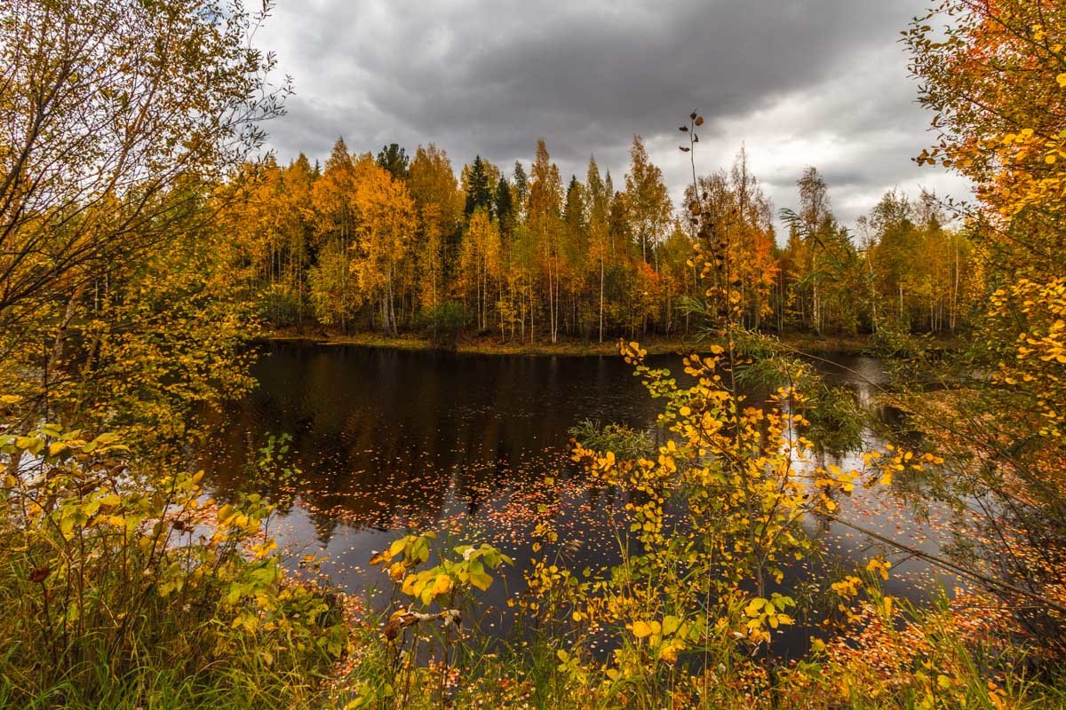 Югорский осенний мотив - Георгий Кулаковский