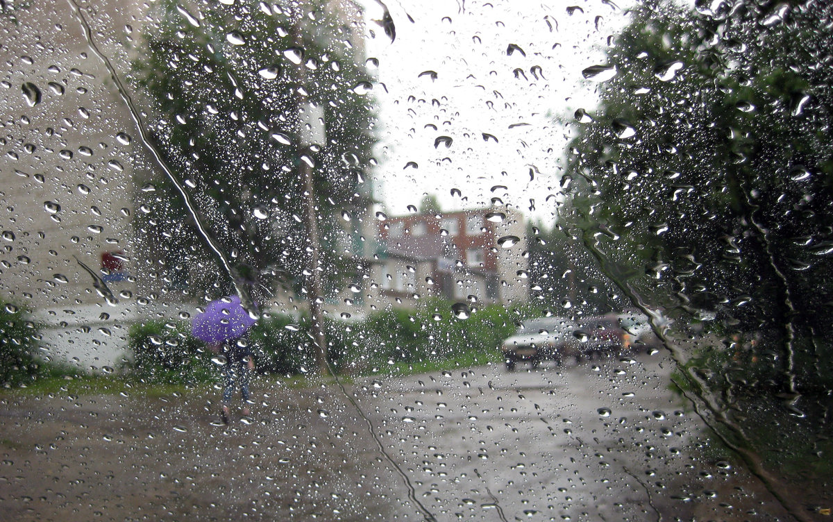 Эти летние дожди... - Галина Galina