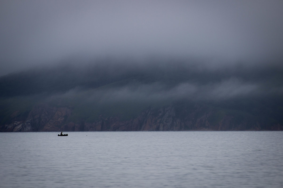 Туман и море - Екатерина Адашинская