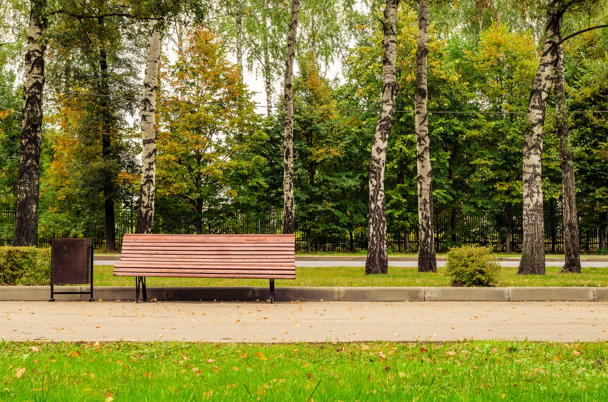 В парке - Дмитрий Крыжановский