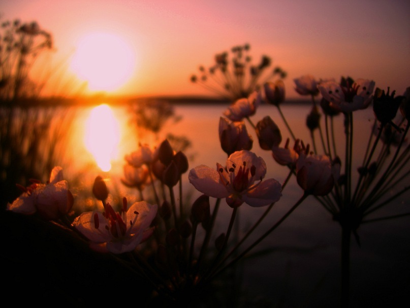 усталое солнце - Тася Тыжфотографиня
