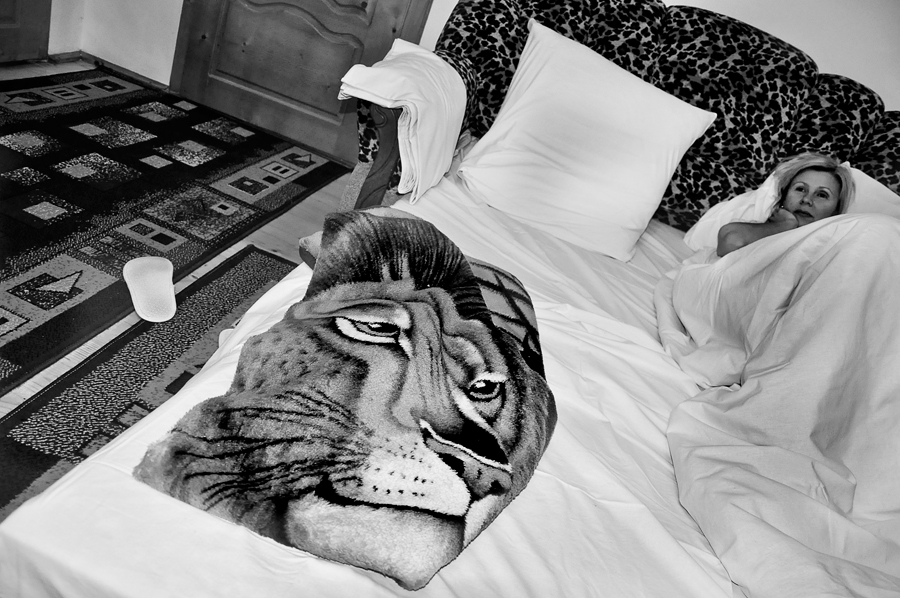 in bed with a lion - Игорь Котелевский