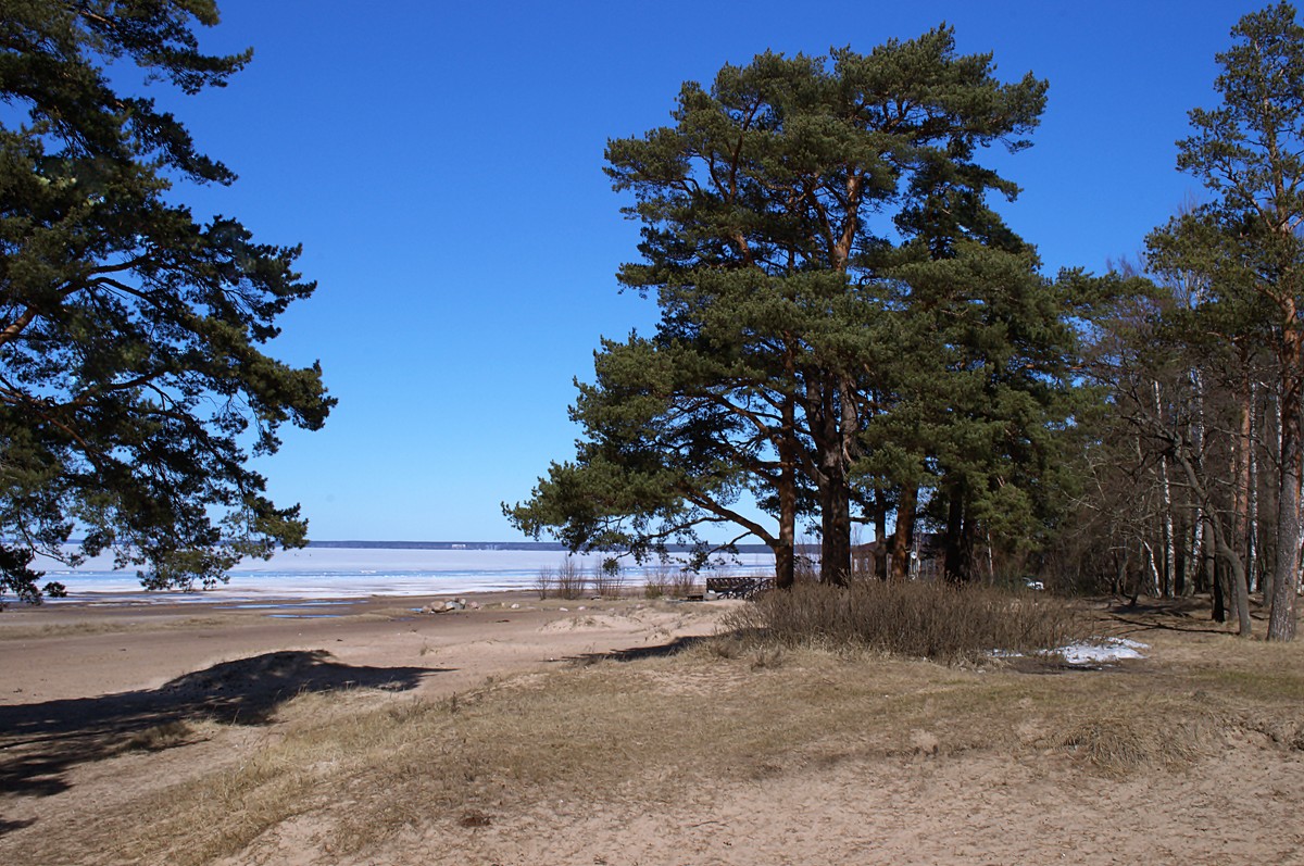 Балтийский берег - Рай Гайсин