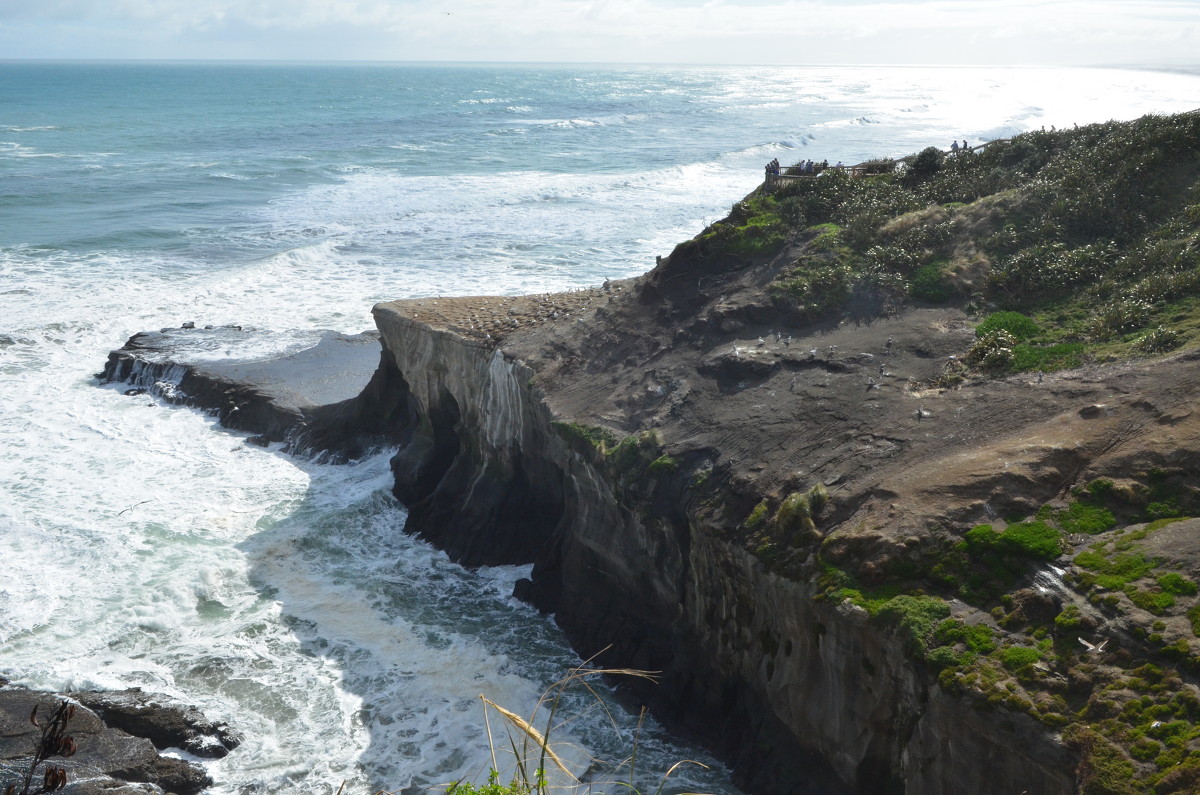 Tasman Sea Coast - Raya Z