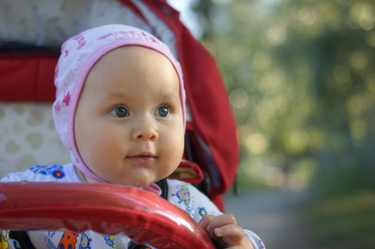 Любознательный малыш в коляске - Ирина Лучанинова